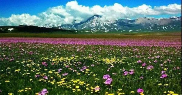 國內旅遊那些出名的打卡地