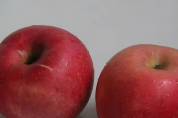 肺不好的人要注意，這4種食物生活中多吃，或助你清除體內毒素