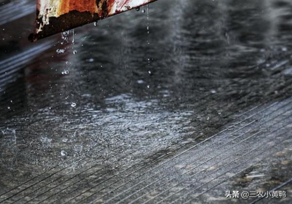 明天八月十三，俗語“澇不澇，就看八月十三”，下半年雨水多嗎？