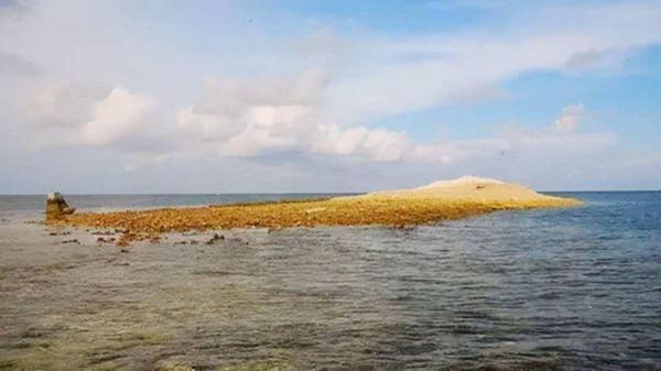 美濟島將成為中國南海第一城，自然風光優美，大家願意去定居嗎？