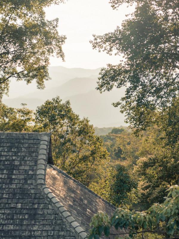 太意外！雲南這個未開發的村寨竟登上了全球旅行地，還盛產普洱茶