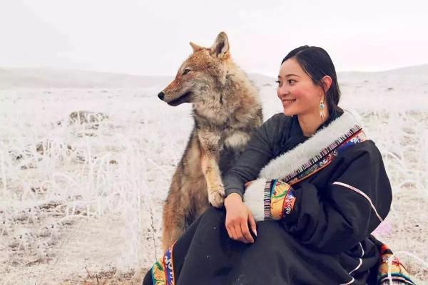 老獵人無家可歸,在山洞裡陪狼群生活 老獵人無家可歸,在山洞裡陪狼群生活