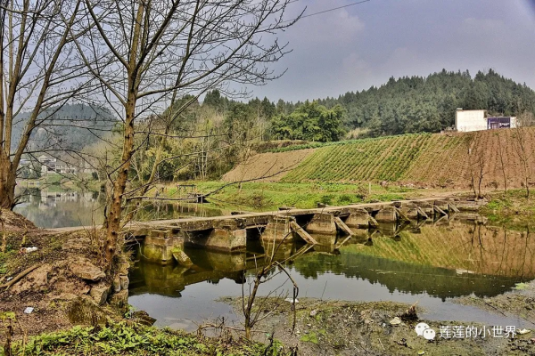 尋古蹟的蓮蓮:神秘洞穴 | 古郪國消逝後的郪江崖墓群 尋古蹟的蓮蓮:神秘洞穴 | 古郪國消逝後的郪江崖墓群