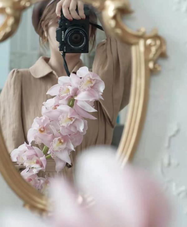 有一種不屈的堅韌。當之無愧的大家閨秀——大花蕙蘭 有一種不屈的堅韌。當之無愧的大家閨秀——大花蕙蘭