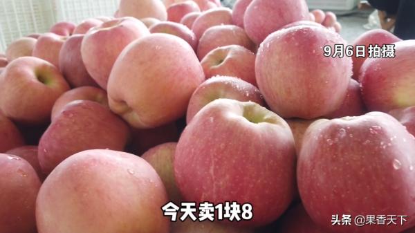 節日氛圍濃，被套圈的老富士能不能抓住最後的機會？