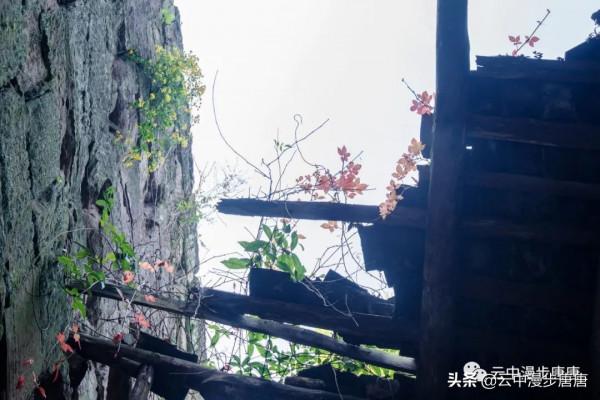 行走的風景——嶽池伏龍之二