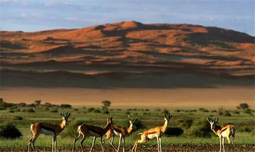 南非“窮國”之史瓦濟蘭,帶你看看史瓦濟蘭的現狀如何 南非“窮國”之史瓦濟蘭,帶你看看史瓦濟蘭的現狀如何