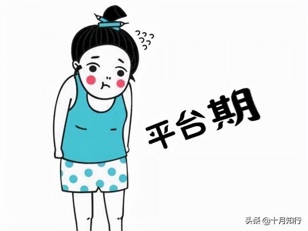什麼是平臺期，減肥為什麼會出現平臺期，如何儘快突破？