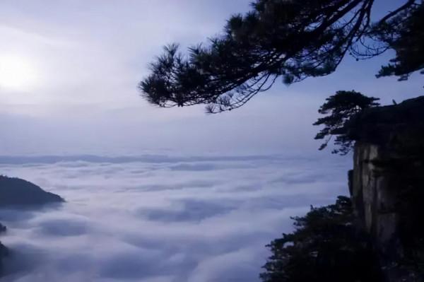 蘇軾七首經典詩歌賞析合集