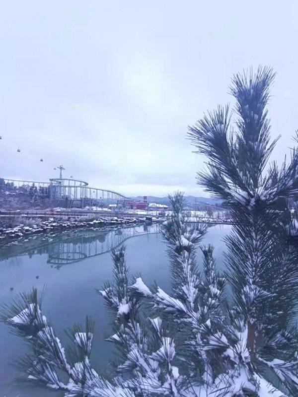 春雪紛飛染冬色 黔地皚皚似北國