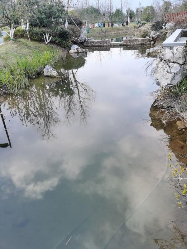 踏青早行人 作者：張鎖龍