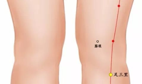 胃不好？4種食物不能吃！2個穴位每天按