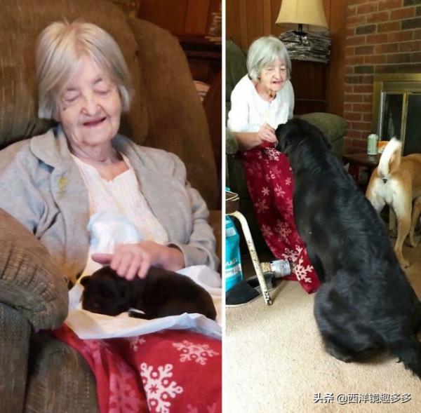 你的小狗狗長大啦，但是有些事永遠不會變