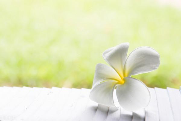 如何才能開啟心結？曾國藩16字心法秘訣，專治想太多的人