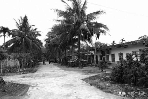 40年的記憶——海南國營乘坡農場行