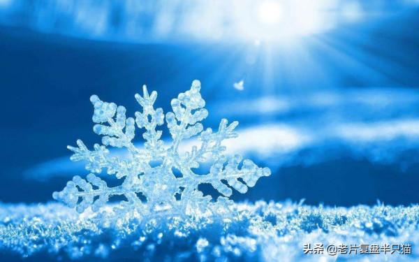 十大&OpenCurlyDoubleQuote;冰雪&rdquo;電影&mdash;&mdash;5部&OpenCurlyDoubleQuote;冬奧會&rdquo;電影，5部&OpenCurlyDoubleQuote;非奧運&rdquo;電影