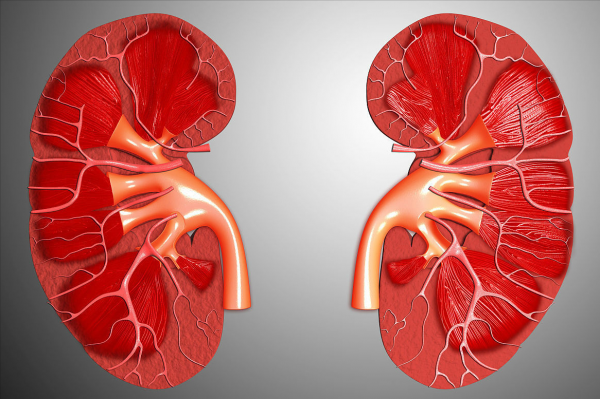 金子做成藥可治療類風溼關節炎,戴金首飾可以嗎? 金子做成藥可治療類風溼關節炎,戴金首飾可以嗎?