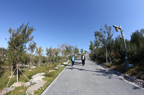 北京四環外的免費公園，上千顆粉黛開在山上，可眺望中國尊