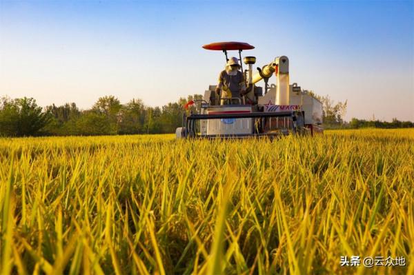 近期化肥農藥價格持續高位執行，糧價不漲，種地很發愁