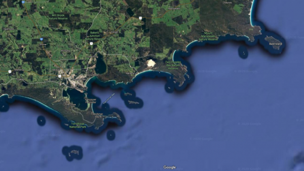 長得像老鼠的袋鼠？以松露為主食？這種瀕危動物種群數量剛剛破百