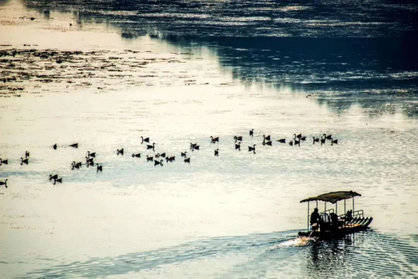 元旦、春節“雲南人遊雲南”,普者黑優惠福利 元旦、春節“雲南人遊雲南”,普者黑優惠福利
