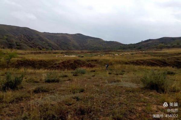 山西,讓我一次愛個夠之十五:山西結環穿+柏楊嶺堡/五眼井堡) 山西,讓我一次愛個夠之十五:山西結環穿+柏楊嶺堡/五眼井堡)