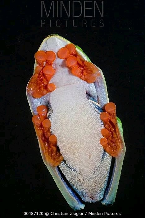 給你一個眼神,自己體會 給你一個眼神,自己體會