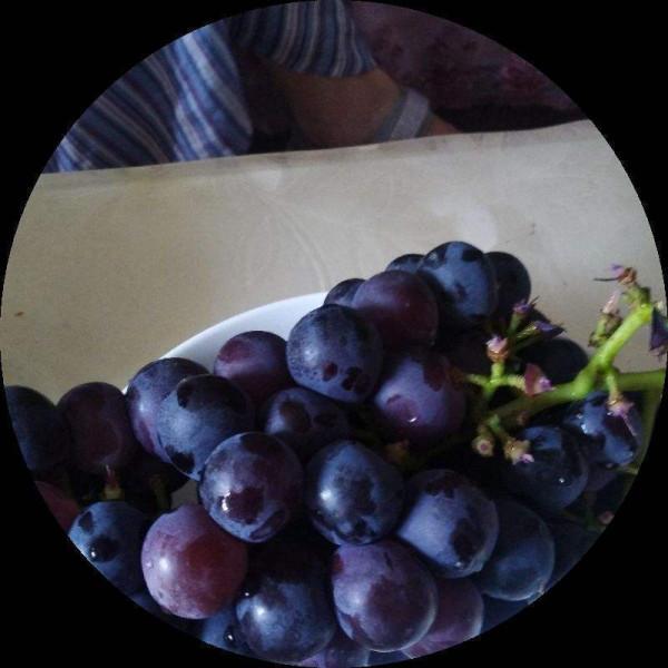 葡萄摘下來還會熟嗎？水果冷知識科普，你不知道的有趣知識