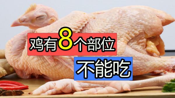 雞有8個地方毒素最重，不要亂吃，24年1級廚師講解雞不能吃的位置