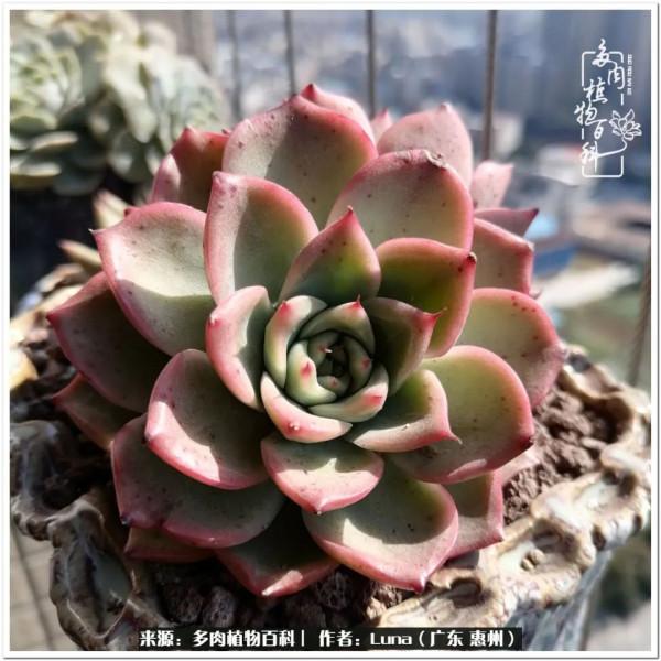 學會和解:與自己、與他人、與世界 學會和解:與自己、與他人、與世界