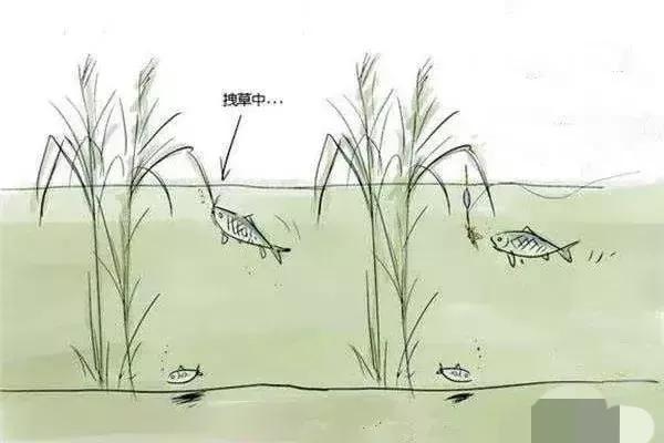 怎麼樣釣魚魚易上鉤