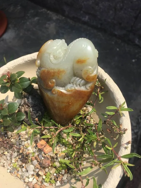 新結緣的玉石怎麼會死?死玉還能戴嗎? 新結緣的玉石怎麼會死?死玉還能戴嗎?