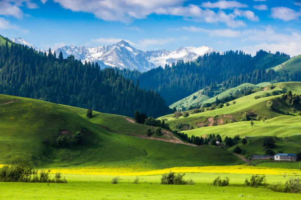 疫情結束,一定要去這10個地方洗洗肺 疫情結束,一定要去這10個地方洗洗肺