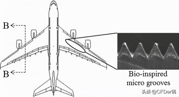 基於仿生表面的邊界層減阻研究假設及最新應用 基於仿生表面的邊界層減阻研究假設及最新應用
