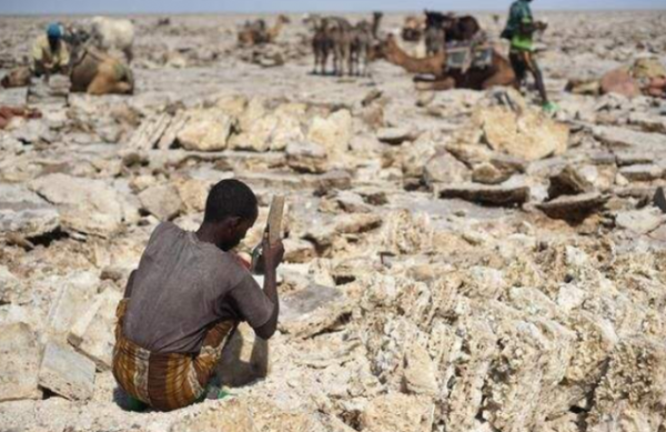 非洲採鹽人的亡命財富:全身潰爛,幾年後雙目失明,每天僅賺60元 非洲採鹽人的亡命財富:全身潰爛,幾年後雙目失明,每天僅賺60元