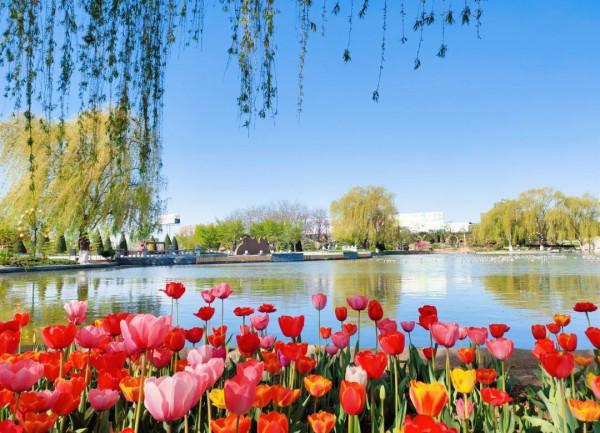 【FENG娛】速看!世界花卉大觀園裡有什麼?細數那些藏不住的精彩! 【FENG娛】速看!世界花卉大觀園裡有什麼?細數那些藏不住的精彩!