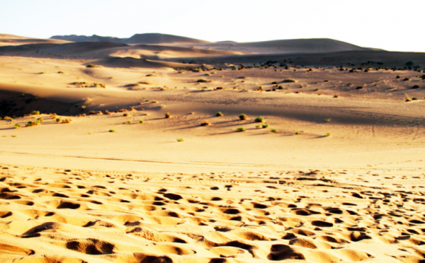 1949年,北京被選為首都,國學大師錢穆有不同看法:應該定都西安 1949年,北京被選為首都,國學大師錢穆有不同看法:應該定都西安
