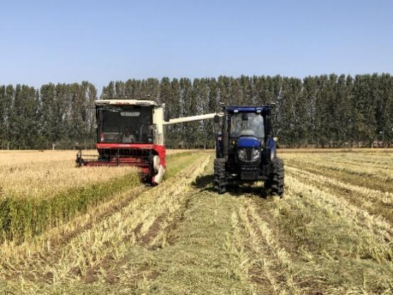 中國工程院院士羅錫文：無人農場是數字農業的實現途徑之一