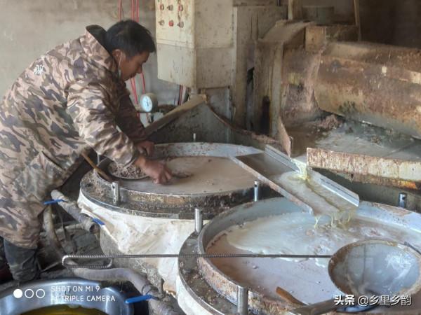 到農村的傳統油坊榨油,如果不要油渣餅還倒給錢,原來貓膩還不少 到農村的傳統油坊榨油,如果不要油渣餅還倒給錢,原來貓膩還不少