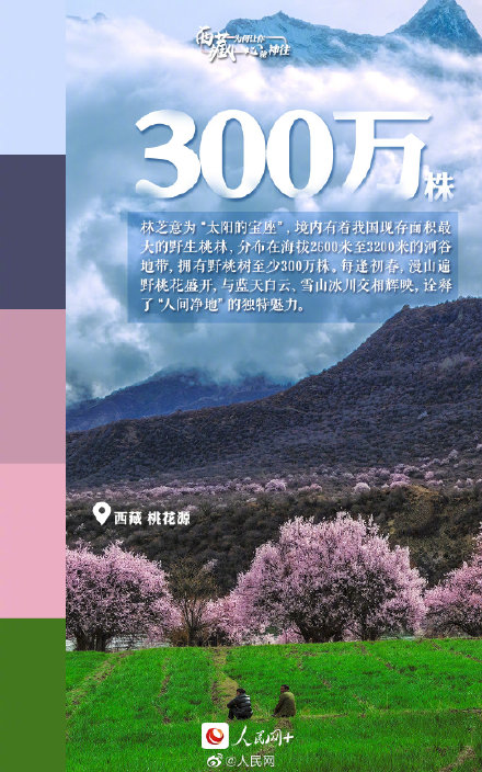 西藏為何讓人心馳神往？