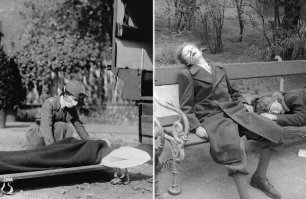 蚊子在地球上究竟有什麼用?如果全部滅絕,會有什麼嚴重後果? 蚊子在地球上究竟有什麼用?如果全部滅絕,會有什麼嚴重後果?