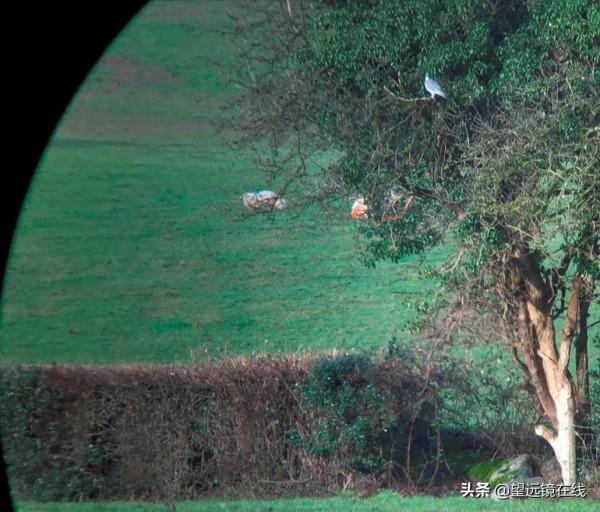 尼康帝王HG 10x42評測 尼康帝王HG 10x42評測