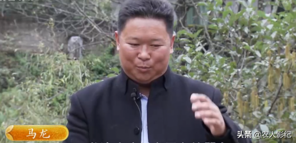 彝族小夥養香豬，巧借力趕著香豬奔富路，帶動200多戶一起致富