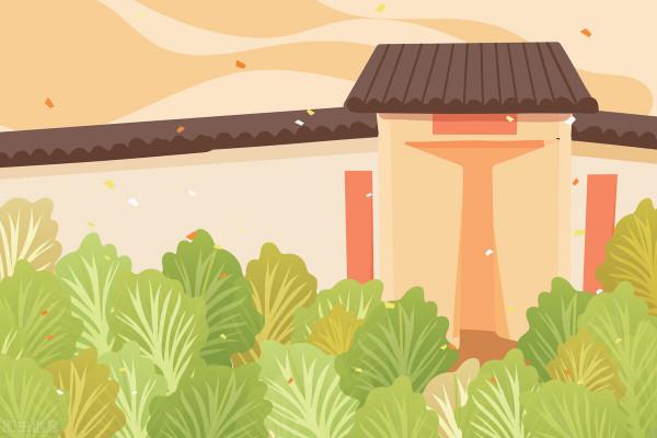 母親去世後，給父親請了保姆，鄰居對我說：你爸已經再婚了