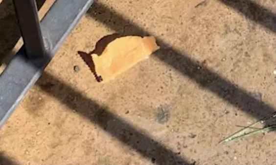 開園僅3小時,哈利·波特城堡旁遍地垃圾 開園僅3小時,哈利·波特城堡旁遍地垃圾