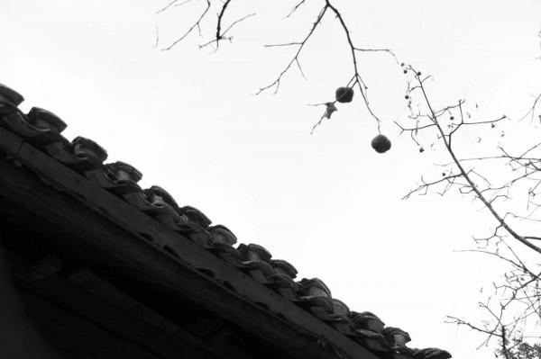 美景小記之上堡古國