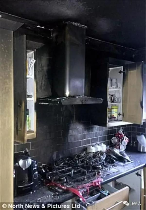 廚房突發大火,僅有2個月的小金毛死裡逃生 廚房突發大火,僅有2個月的小金毛死裡逃生