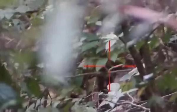 菲律賓村民:獵戶阿達,靠山吃山靠水吃水 菲律賓村民:獵戶阿達,靠山吃山靠水吃水