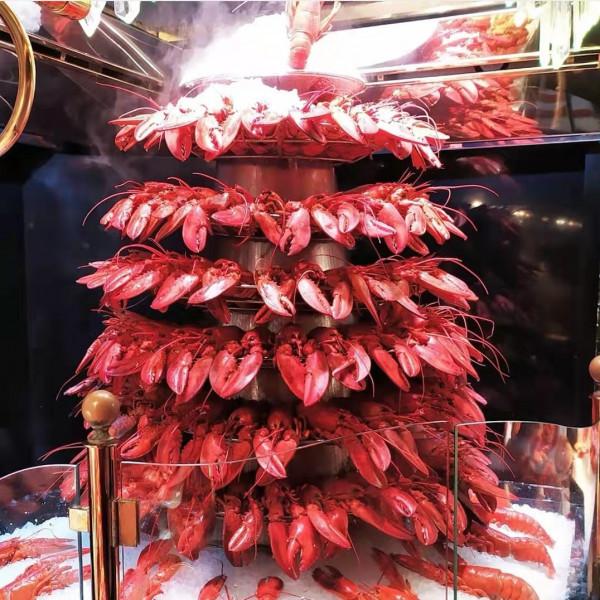 法國當地的自助餐有多豪華?頂級食材“堆成山”,芝士逾100多種 法國當地的自助餐有多豪華?頂級食材“堆成山”,芝士逾100多種