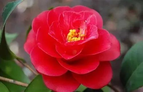 歷經太多的凌厲滄桑,內心依然嚮往溫暖且平安喜樂的模樣 歷經太多的凌厲滄桑,內心依然嚮往溫暖且平安喜樂的模樣